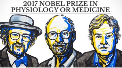 Investigadores del reloj biológico ganan premio Nobel de Medicina